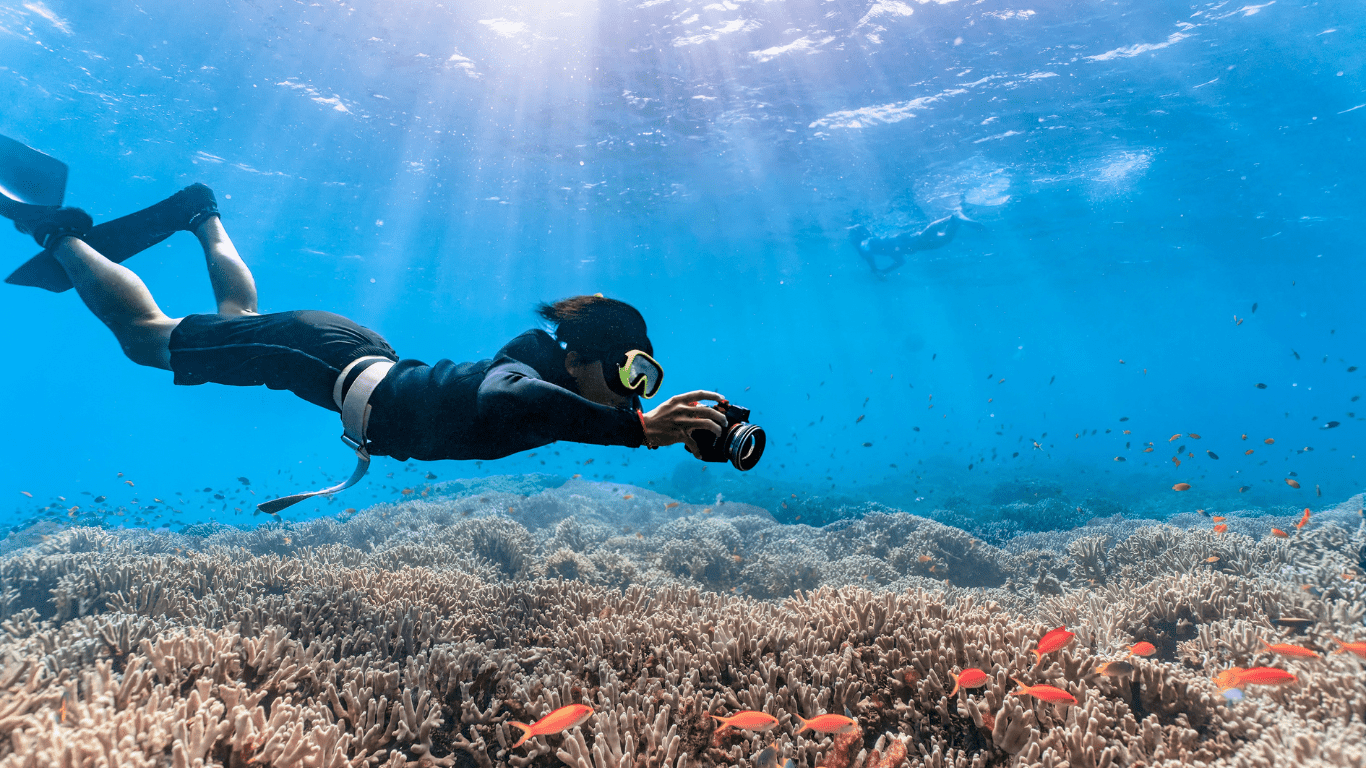 a person diving in the water