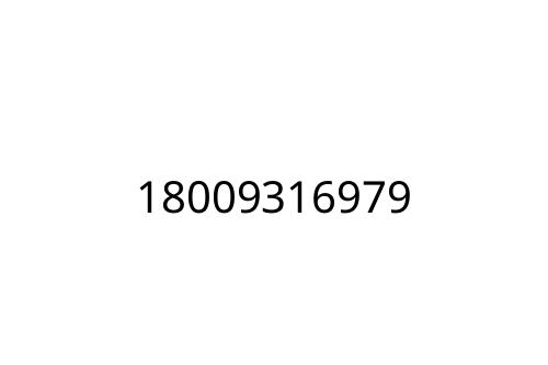 18009316979
