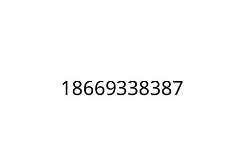 18669338387