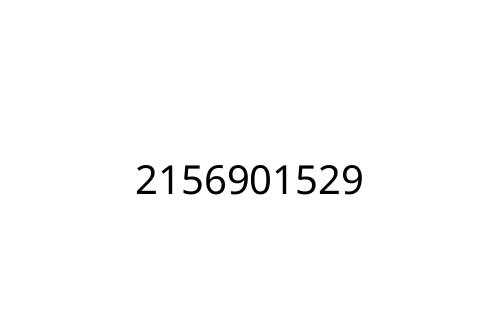 2156901529
