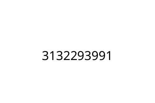 3132293991