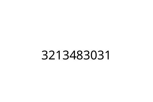 3213483031