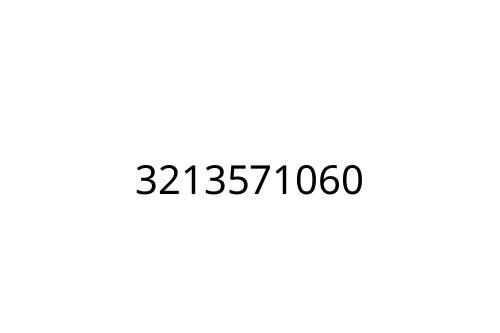 3213571060