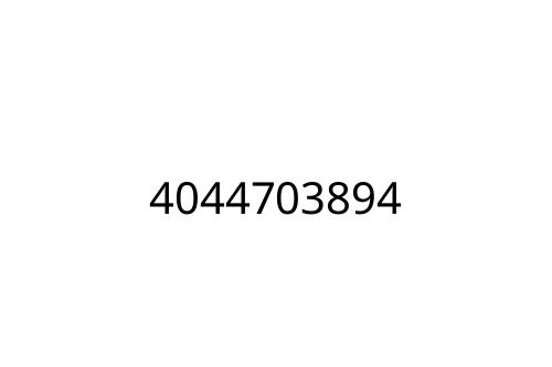 4044703894