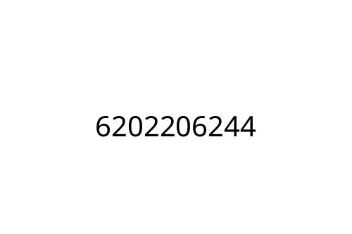 6202206244