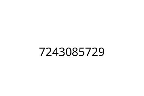 7243085729