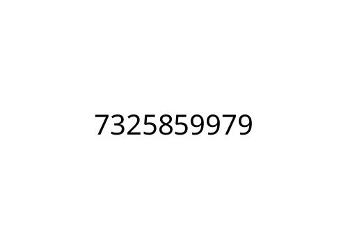 7325859979