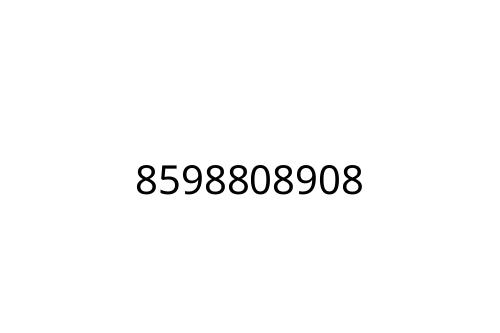 8598808908