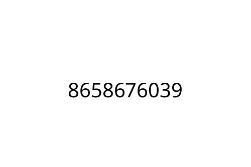 8658676039