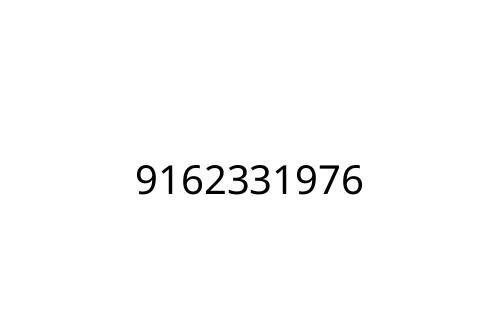 9162331976