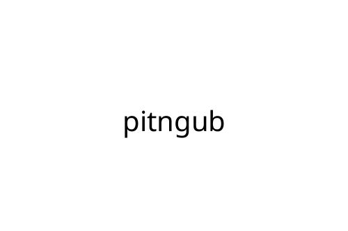 pitngub