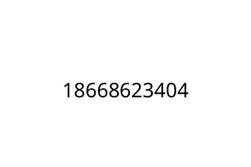 18668623404