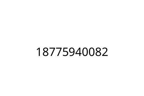 18775940082