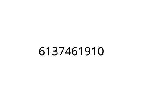 6137461910