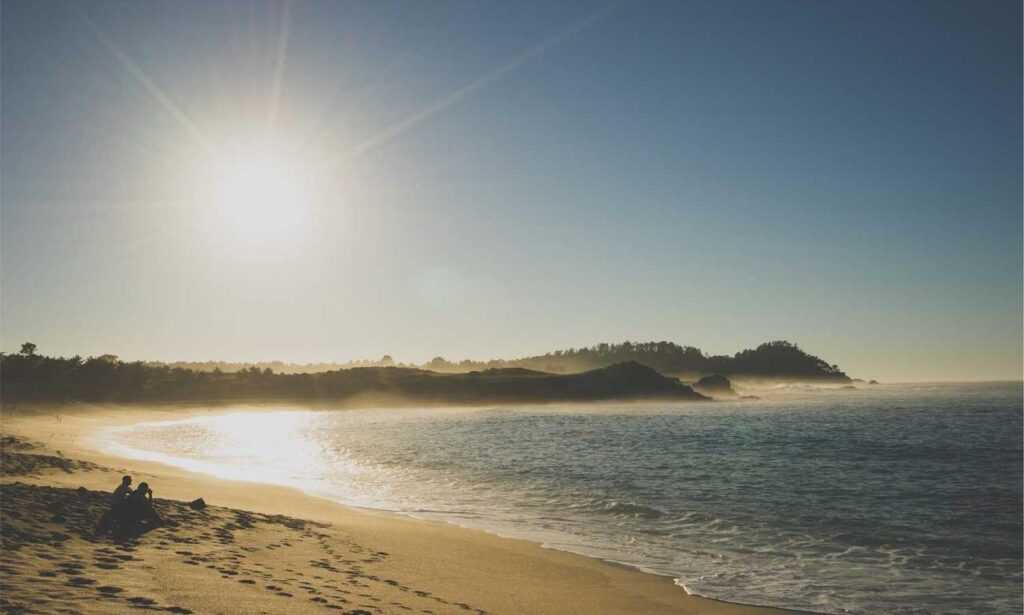 about larovviraf153 online