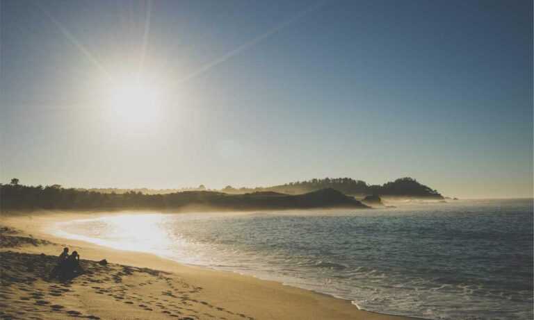 about larovviraf153 online