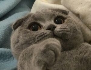 grs uine28.6 error codes