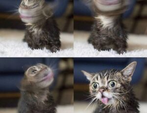 is marshock200 the best pc game 2023