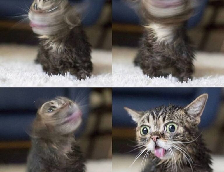 is marshock200 the best pc game 2023