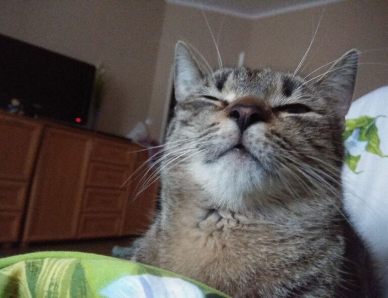 problems with dropbox 8737.idj.029.22