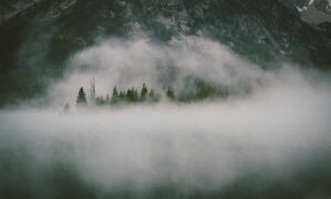 python sdk25.5a burn lag