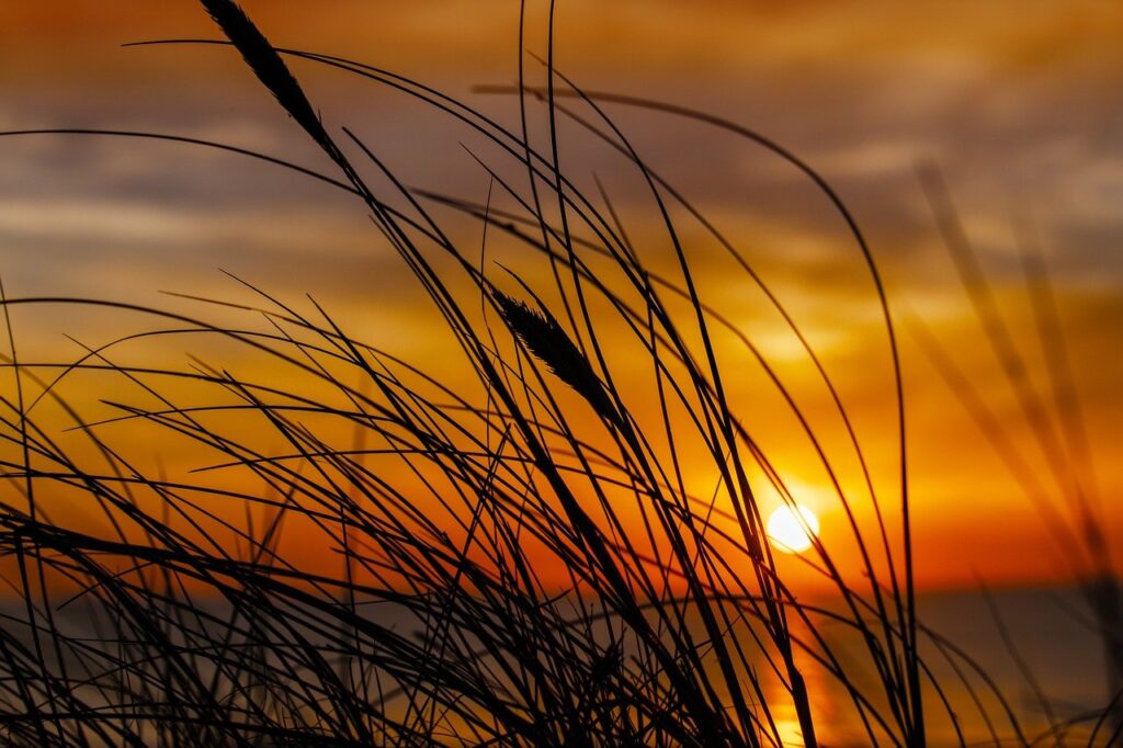 why i can't run warepad0.2 code