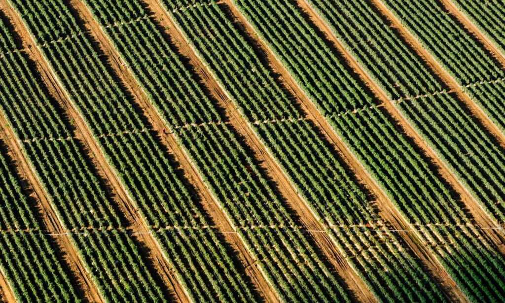 www kambimalayalamkadhakal