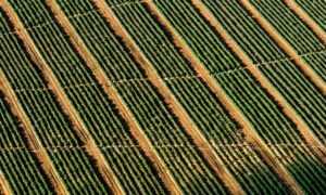 www kambimalayalamkadhakal