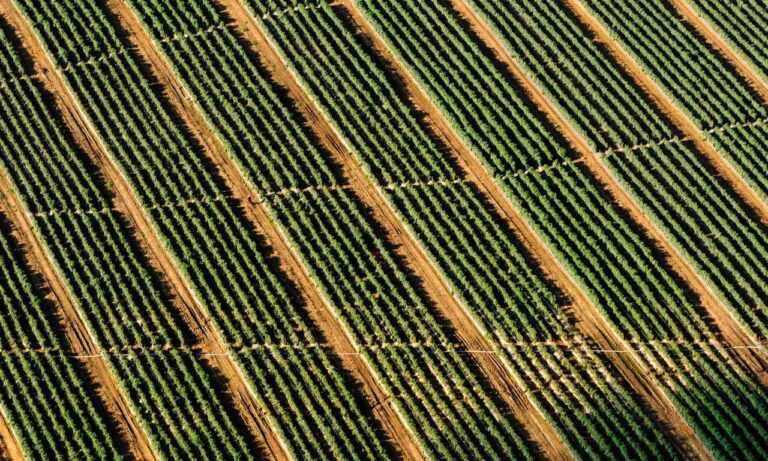 www kambimalayalamkadhakal