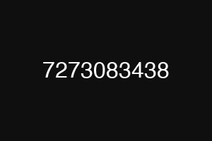 7273083438