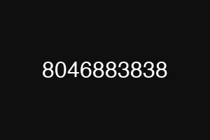 8046883838
