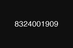 8324001909
