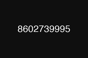 8602739995