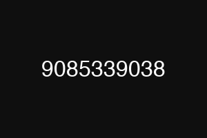 9085339038
