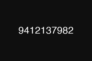 9412137982