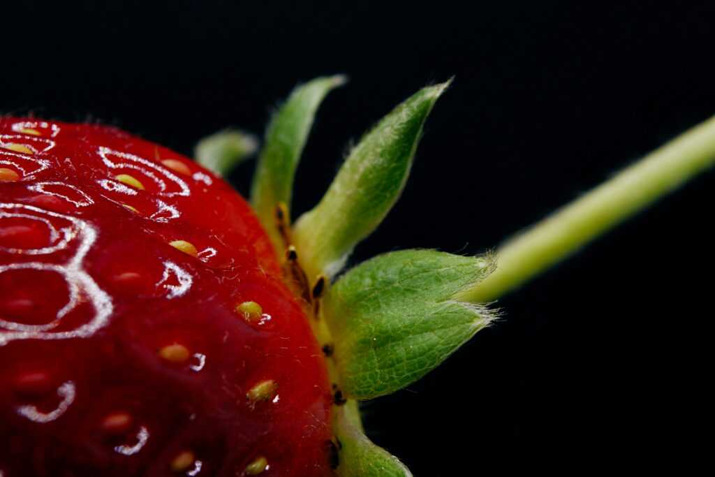 james lee NsuQmSnAEM4 unsplash