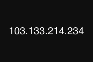 103.133.214.234