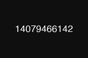 14079466142