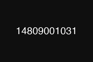 14809001031