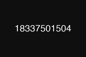 18337501504