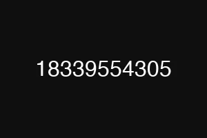 18339554305