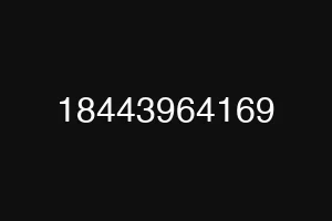 18443964169