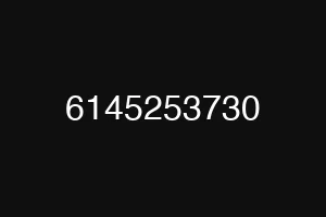 6145253730