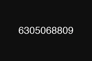 6305068809