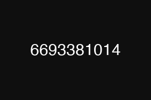 6693381014