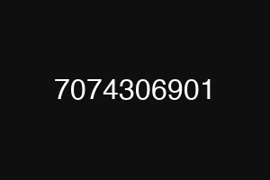 7074306901