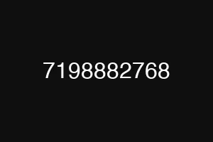 7198882768