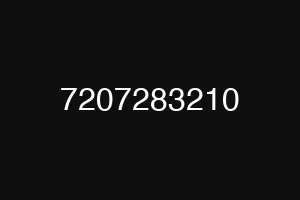 7207283210