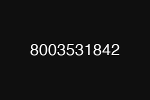 8003531842
