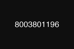 8003801196